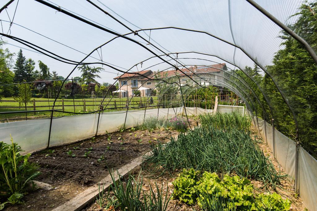 Cascina Arcangelo Raffaele Verduno 外观 照片